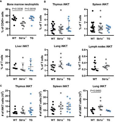Serpinb1a Is Dispensable for the Development and Cytokine Response of Invariant Natural Killer T Cell Subsets